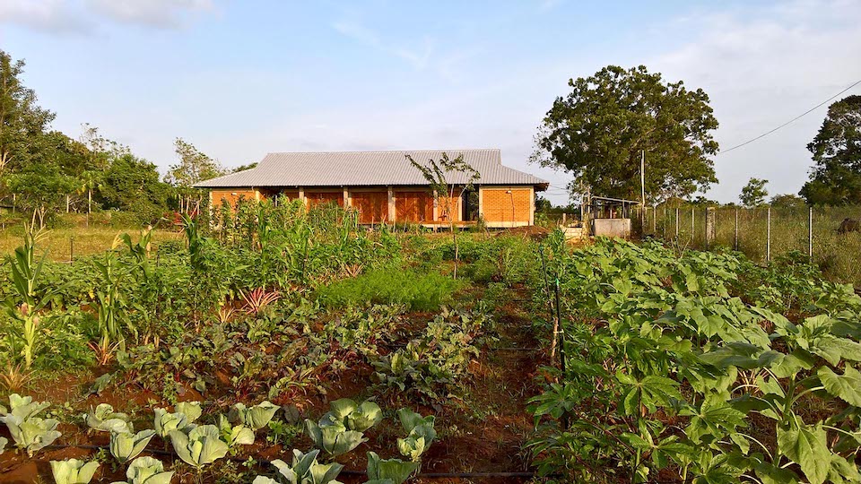 Agriculture Vastu for Farm House, Bungalow & Villa Vaastu